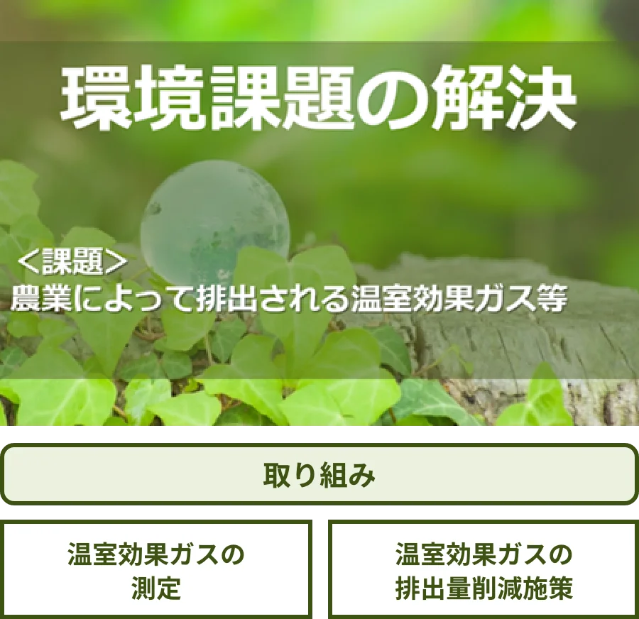 環境課題の解決への取り組み：温室効果ガスの測定・温室効果ガスの排出量削減施策