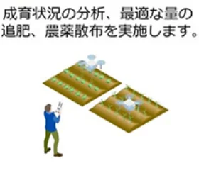 生育状況の分析、最適な量の追肥、農薬散布を実施します。