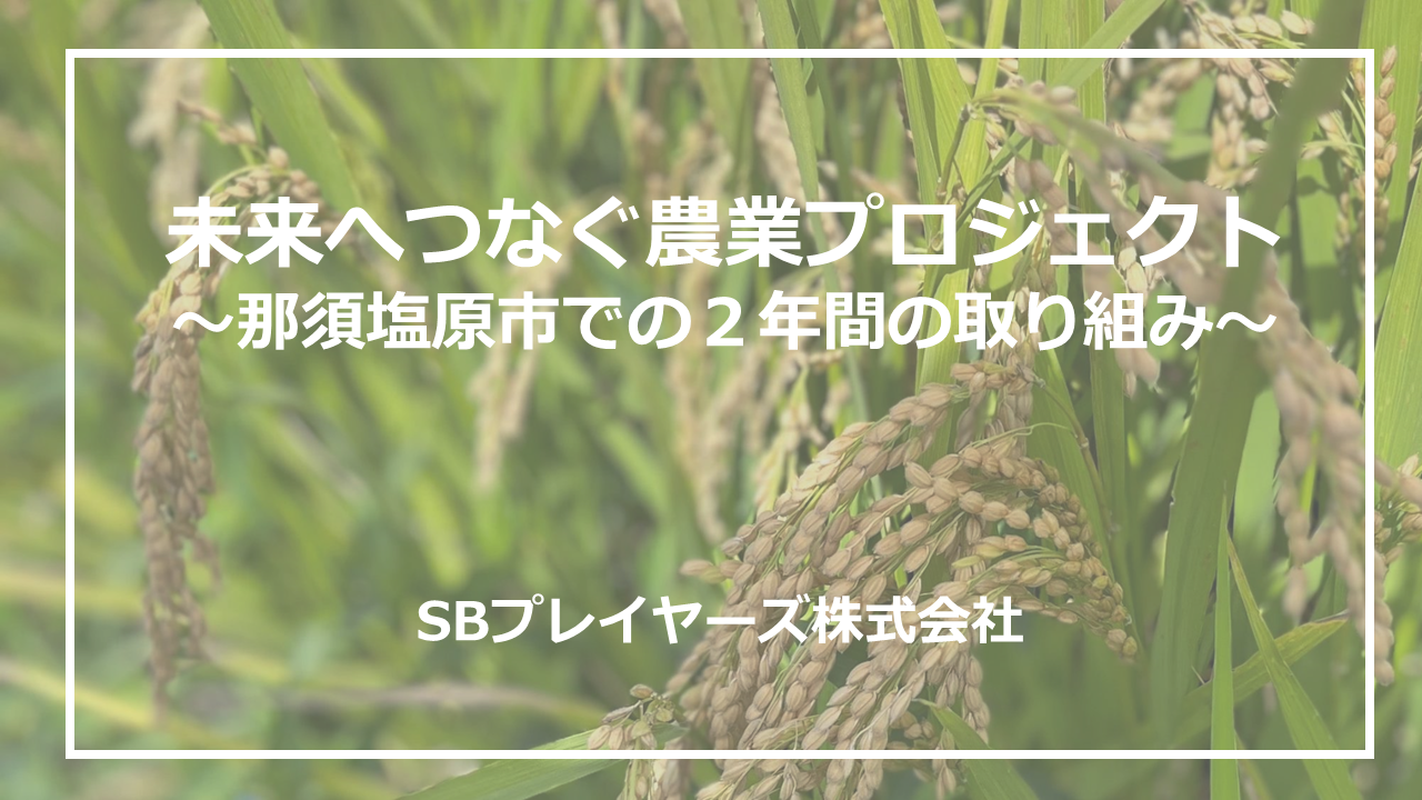 実施レポート