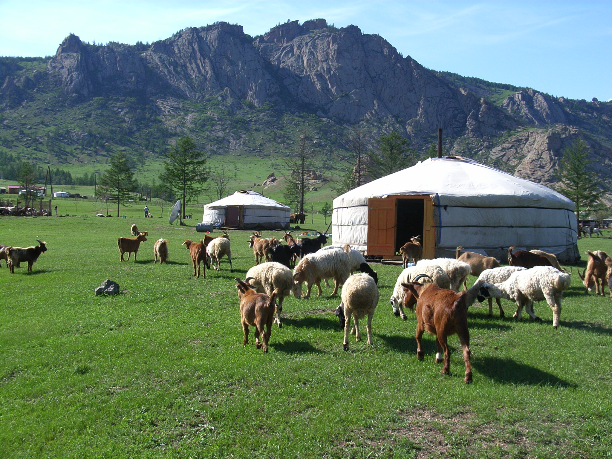 モンゴルの草原