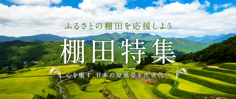 ふるさと納税で棚田を応援