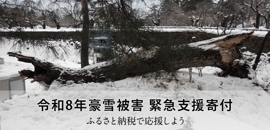令和8年豪雪被害 緊急支援寄付サイト