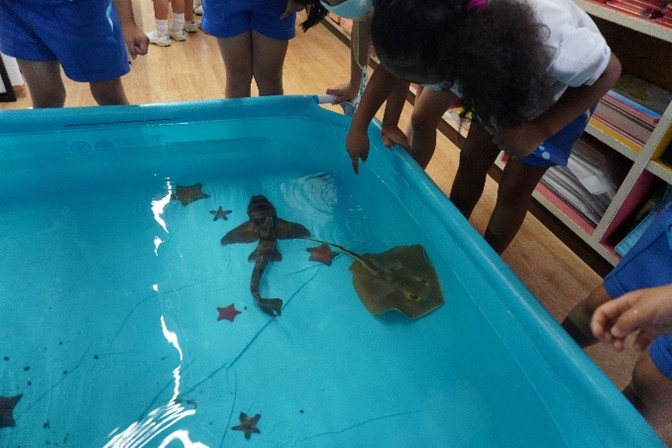 タッチプールを楽しむ子供たちの様子