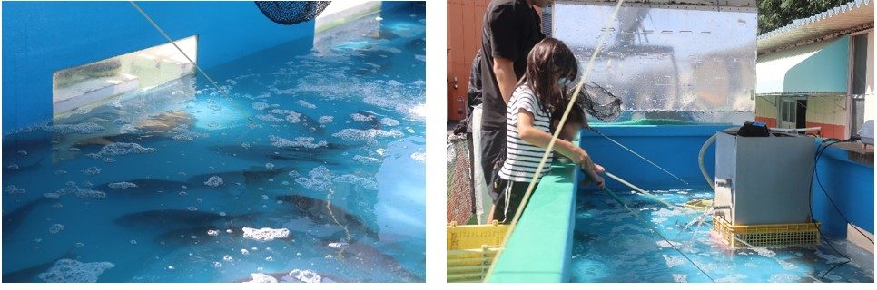 前回の釣り堀イベントの様子