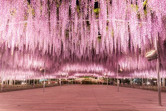 栃木県の風景