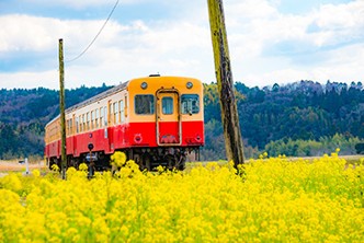千葉県の風景
