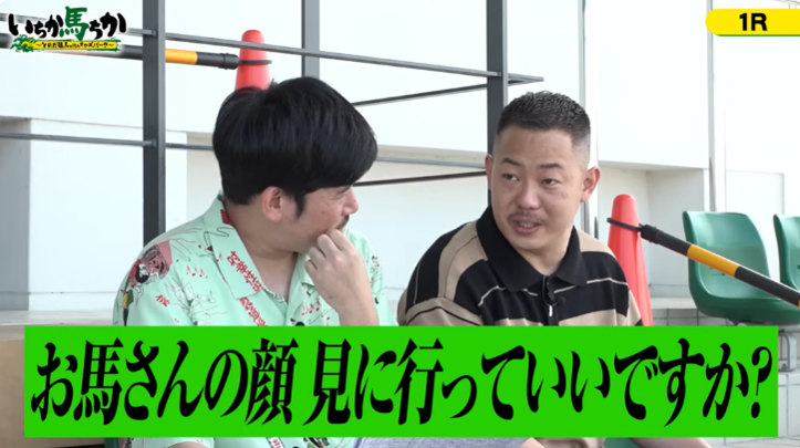 お馬さんの顔 見に行っていいですか?
