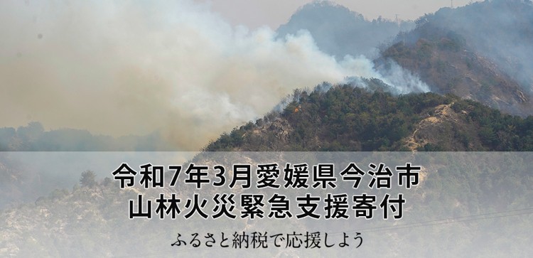 令和7年3月愛媛県今治市 山林火災緊急支援寄付サイト