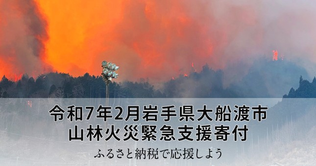 令和7年2月岩手県大船渡市 山林火災緊急支援寄付サイト