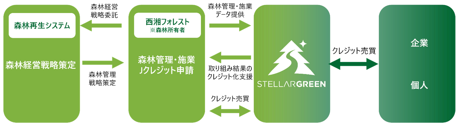 ステラーグリーンスキーム図