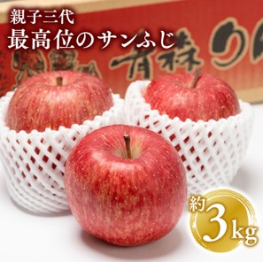 親子三代最高位のサンふじ 約3kg【平川市広船産りんご】