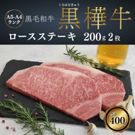 A4 A5等級 ロースステーキ 400g(200g×2P) 黒毛和牛【杉本本店】