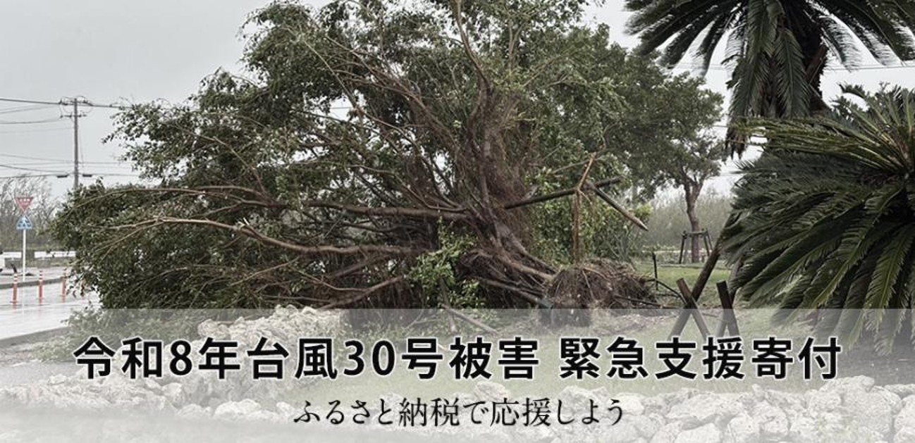 令和8年台風30号被害 緊急支援寄付サイト